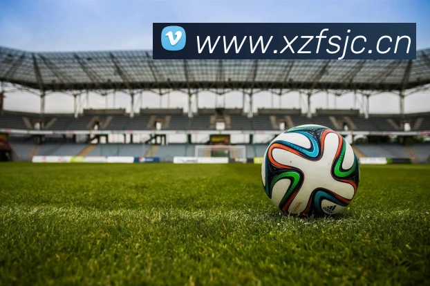 开云官方网站下载app发展历程